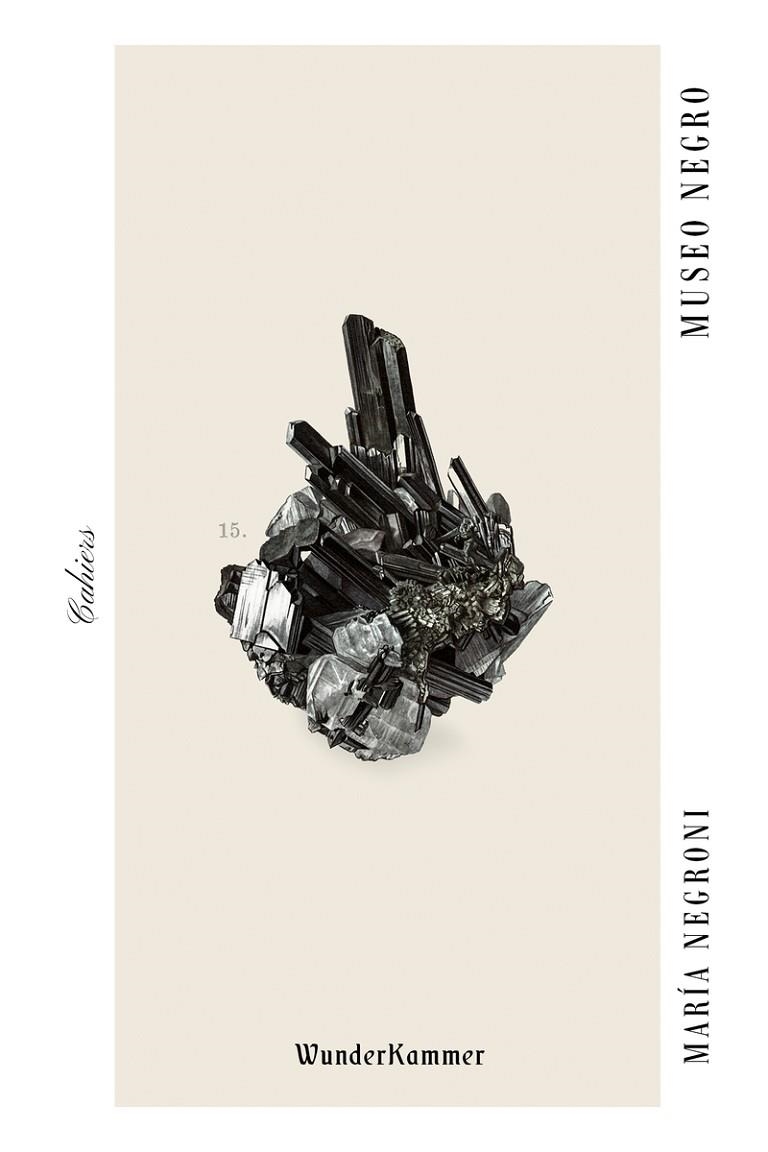 MUSEO NEGRO | 9788412743142