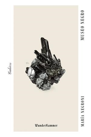 MUSEO NEGRO | 9788412743142