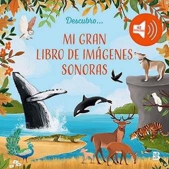 IMAGENES SONORAS | 9789403242446 | VVAA