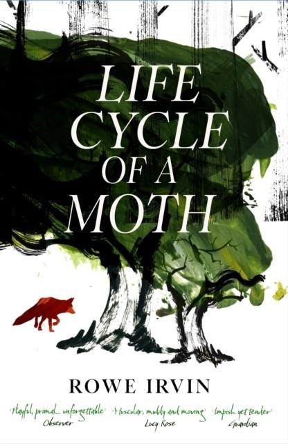 LIFE CYCLE OF A MOTH | 9781837262489 | ROWE IRVIN