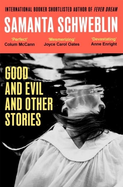 GOOD AND EVIL AND OTHER STORIES | 9781035050185 | EDWARD SCHMIT