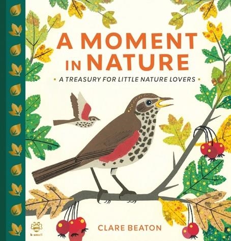 A MOMENT IN NATURE | 9781916851191 | CLARE BEATON