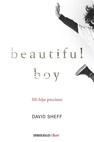 SIEMPRE SERÁS MI HIJO (BEAUTIFUL BOY) | 9788466349208 | DAVID SHEFF