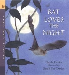 BAT LOVES THE NIGHT | 9780763624385 | NICOLA DAVIES