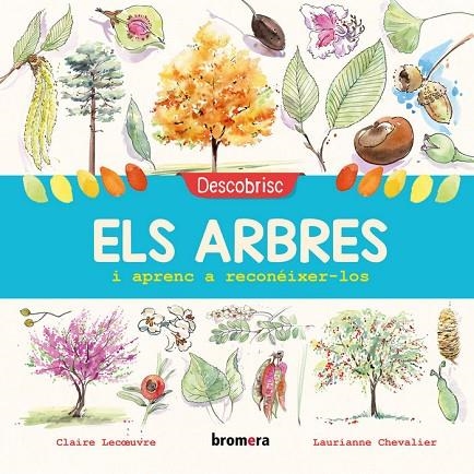 DESCOBRISC ELS ARBRES I APRENC A RECONEIXER-LOS | 9788490269152 | CLAIRE LECOEUVRE