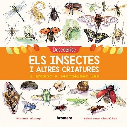 DESCOBRISC ELS INSECTES I ALTRES CRIATURES I APRENC A RECONEIXER-LES | 9788490269169 | VINCENT ALBOUY