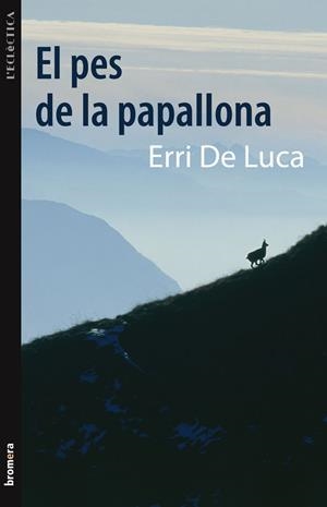 PES DE LA PAPALLONA, EL | 9788498248586 | ERRI DE LUCA