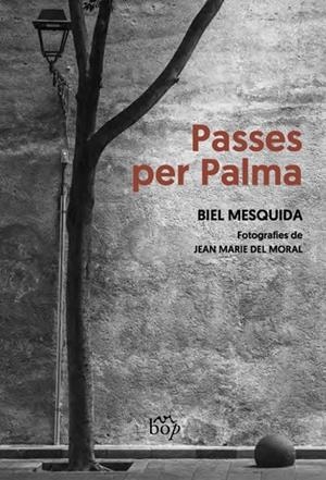 PASSES PER PALMA | 9788412619751 | BIEL MESQUIDA AMENGUAL