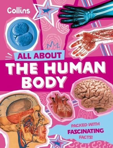 THE HUMAN BODY : DISCOVER FASCINATING FACTS ABOUT OUR AMAZING ANATOMY | 9780008776190 | COLLINS KID