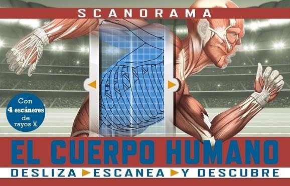 SCANORAMA. EL CUERPO HUMANO | 9788469667620 | ANNA CLAYBOURNE