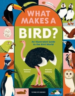WHAT MAKES A BIRD?: AN ILLUSTRATED GUIDE TO THE BIRD WORLD (HB) | 9781838742065 | NADEEM PERERA