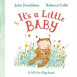 IT'S A LITTLE BABY | 9781035042043 | JULIA DONALDSON