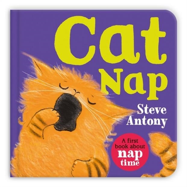 CAT NAP | 9781035029037 | STEVE ANTONY