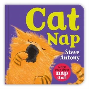 CAT NAP | 9781035029037 | STEVE ANTONY
