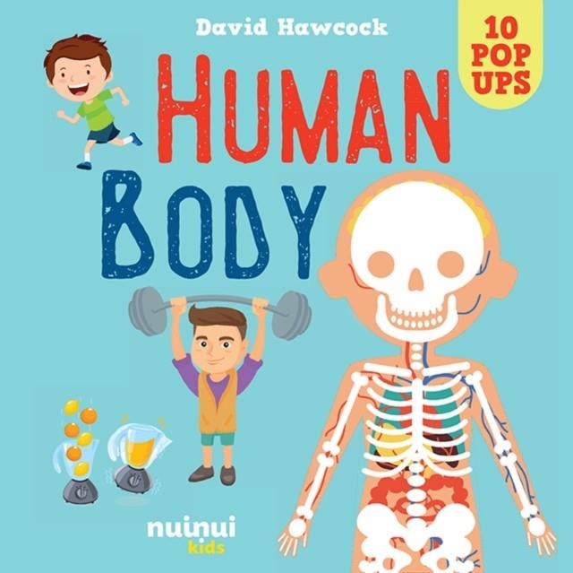 HUMAN BODY POP UP | 9782889754113 | DAVID HAWCOCK