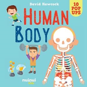 HUMAN BODY POP UP | 9782889754113 | DAVID HAWCOCK