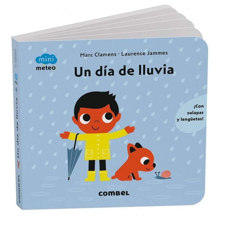 UN DÍA DE LLUVIA | 9788411583213