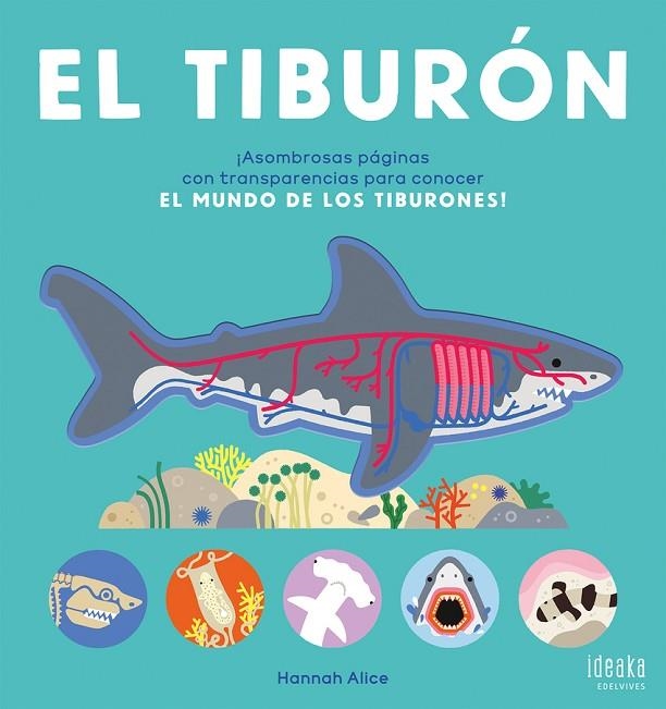 EL TIBURÓN + 6 AÑOS | 9788414064900