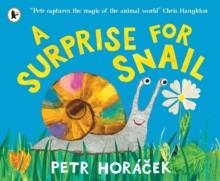 A SURPRISE FOR SNAIL | 9781529525502 | HORÀCEK PETR
