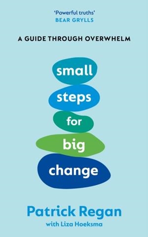 SMALL STEPS FOR BIG CHANGE | 9781846048944 | PATRICK REAGAN
