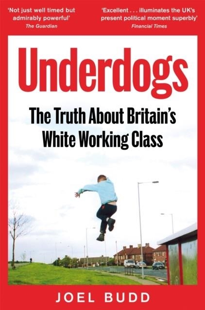 UNDERDOGS | 9781035015160 | JOEL BUDD