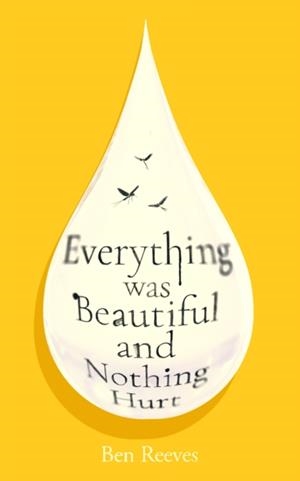 EVERYTHING WAS BEAUTIFUL AND NOTHING HURT | 9781805465805 | BEN REEVES