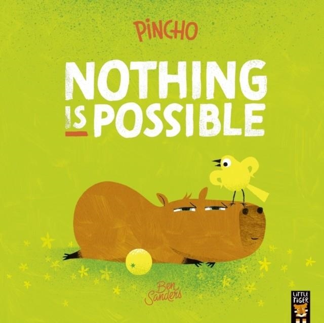 PINCHO: NOTHING IS POSSIBLE | 9781801049177 | BEN SANDERS