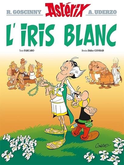 ASTERIX 40: L'IRIS BLANC (FRANCÉS) | 9782014001334