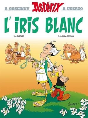 ASTERIX 40: L'IRIS BLANC (FRANCÉS) | 9782014001334