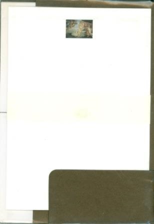 CARTA LETTERE. VENERE | 9788883308390