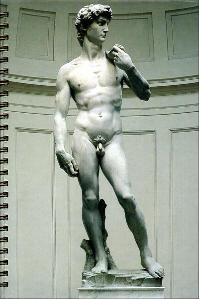 AGENDA/MICHELANGELO-DAVID | 9788883303517