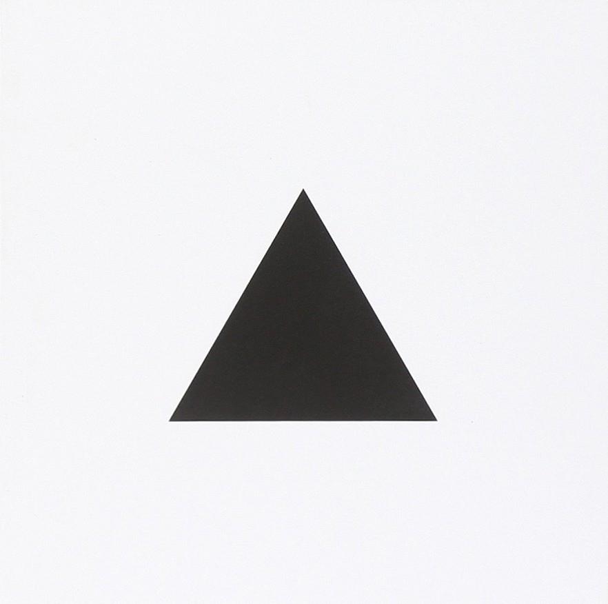 THE TRIANGLE. EDIZ. ILLUSTRATA | 9788875701291