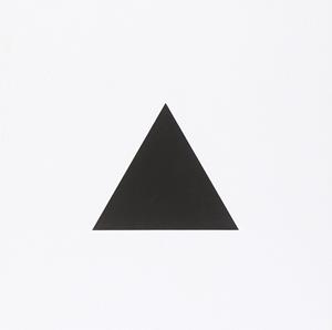 THE TRIANGLE. EDIZ. ILLUSTRATA | 9788875701291