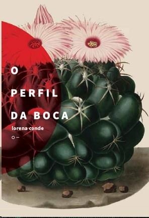 O PERFIL DA BOCA | 9786587076041