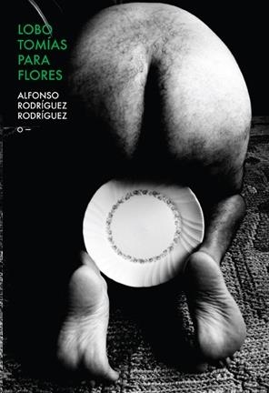 LOBOTOMÍAS PARA FLORES | 9788569433644