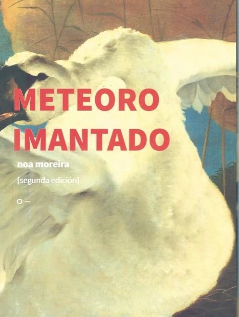 METEORO IMANTADO | 9786587076942