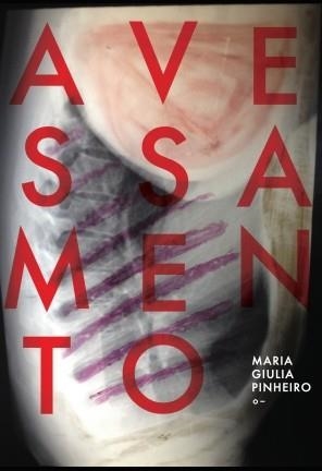 AVESSAMENTO | 9788569433361