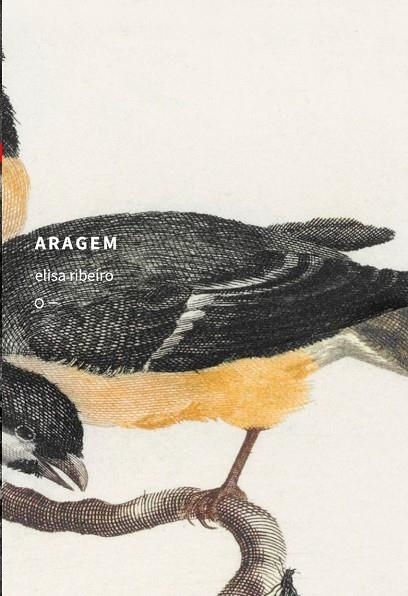 ARAGEM | 9786587938615