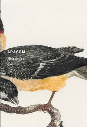 ARAGEM | 9786587938615