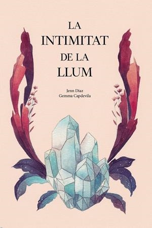 LA INTIMITAT DE LA LLUM | 9788494958021