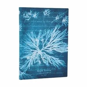 CUADERNO / FLORES MARINAS - SERIE CIANOTIPOS DE ANNA ATKINS/ MIDI / FLEXI | 9780349713670