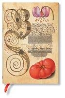 FASCINANTE BOTÁNICA / LIRIO Y TOMATE / MIDI / FLEXI | 9781439793480