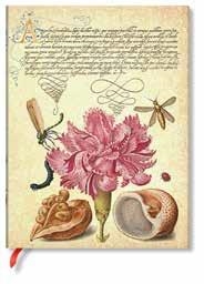 CUADERNO / CLAVEL ROSA - SERIE FASCINANTE BOTÁNICA / MIDI / FLEXI | 9781439797273