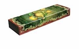 ESTUCHE MULTIUSOS / LOS HERMANOS GRIMM, EL PRÍNCIPE RANA - COLECCIÓN CUENTOS POPULARES | 9781439798379