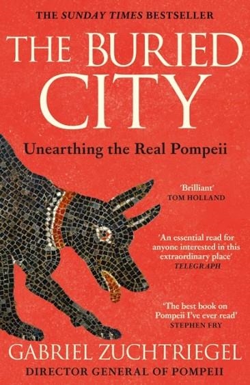 THE BURIED CITY | 9781399731195 | GABRIEL ZUCHTRIEGEL