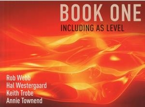 AQA A LEVEL SOCIOLOGY BOOK ONE INCLUDING AS LEVEL : BOOK ONE | 9780954007911