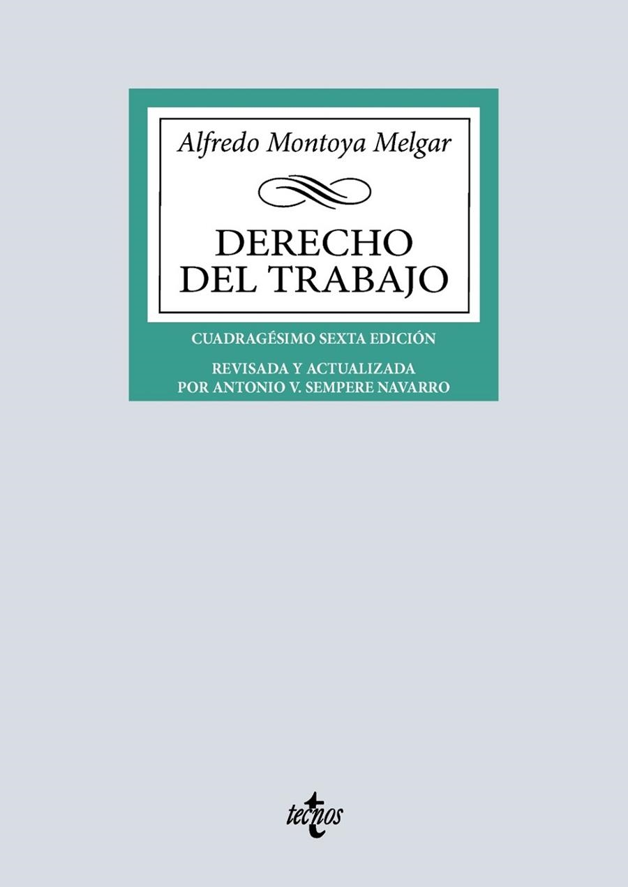 DERECHO DEL TRABAJO | 9788430992621