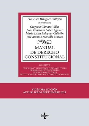 MANUAL DE DERECHO CONSTITUCIONAL | 9788430992720
