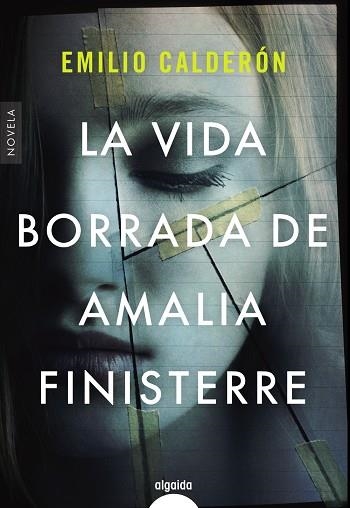 LA VIDA BORRADA DE AMALIA FINISTERRE | 9788491897064