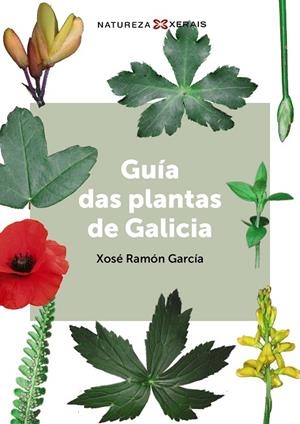 GUÍA DAS PLANTAS DE GALICIA | 9788411103558